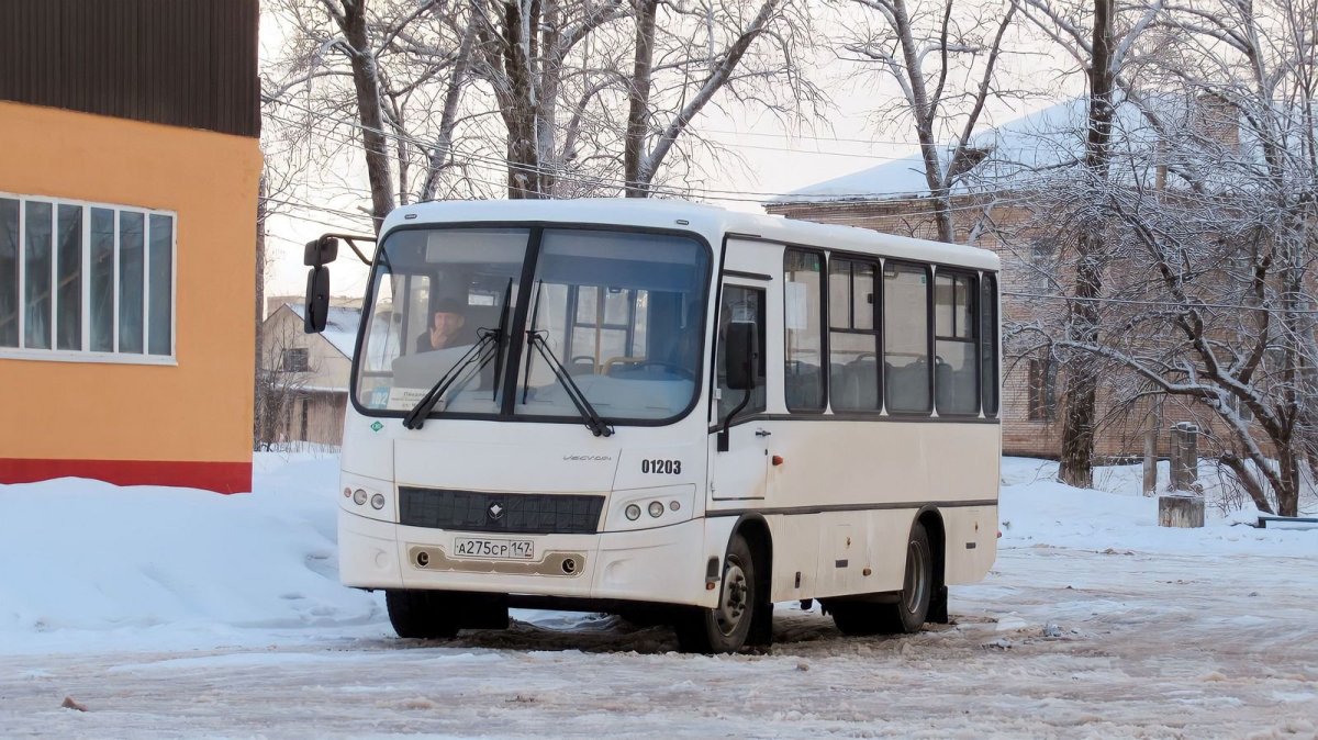 ПАЗ-320302-22 "вектор