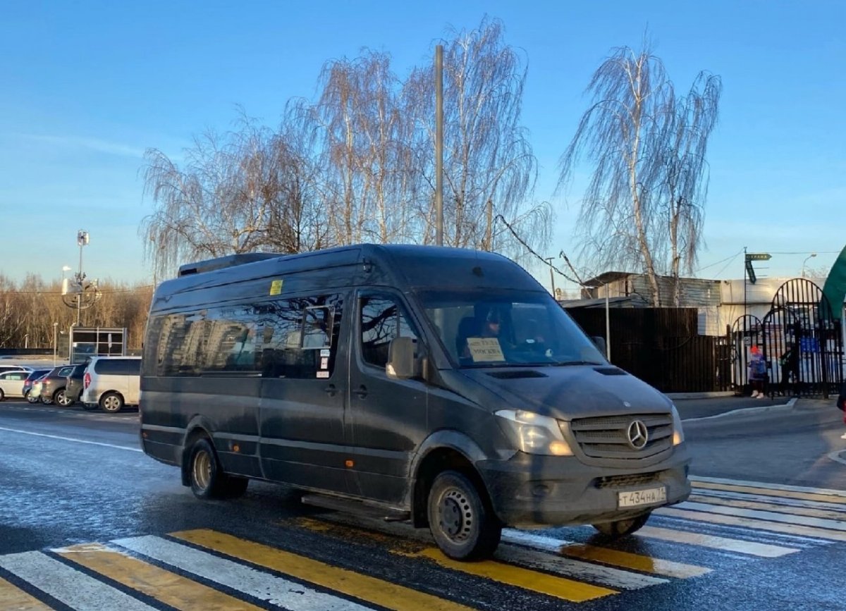 Луидор 19 автобус