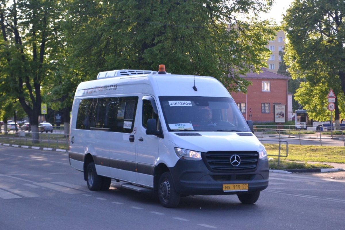 Луидор автобус