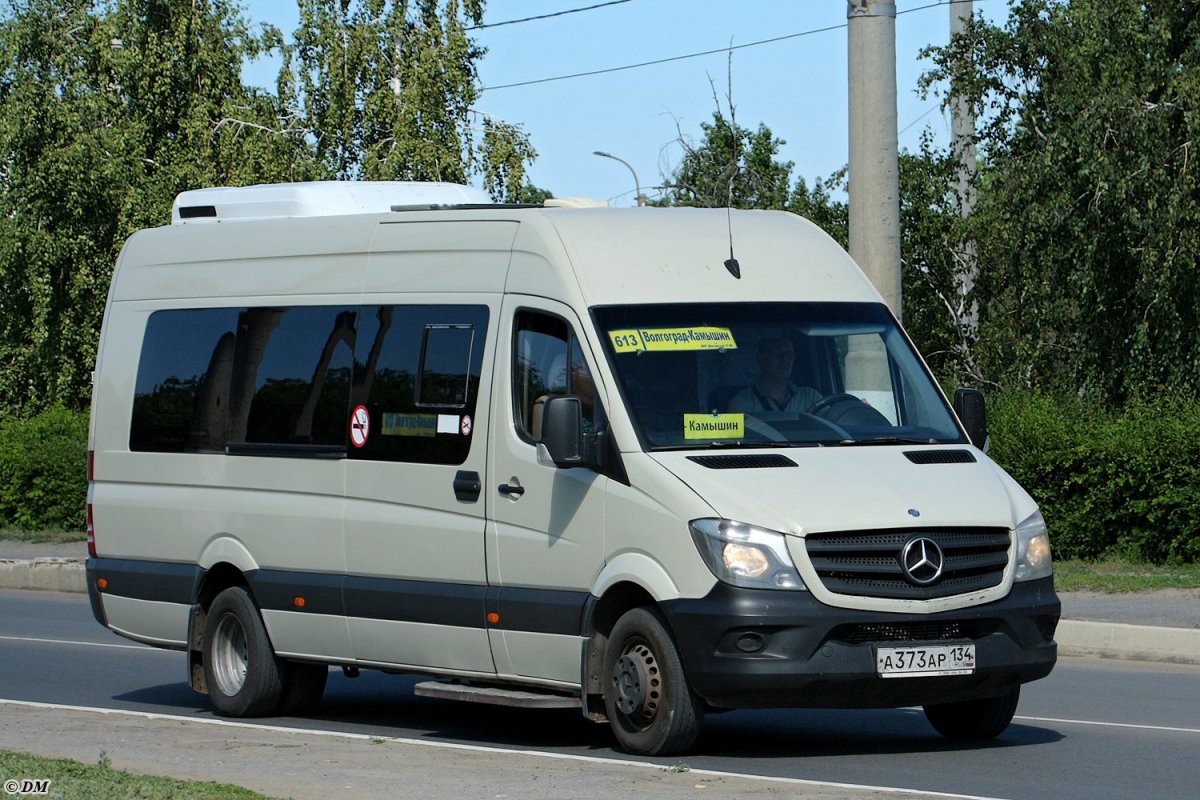 Луидор-223602 (MB Sprinter)