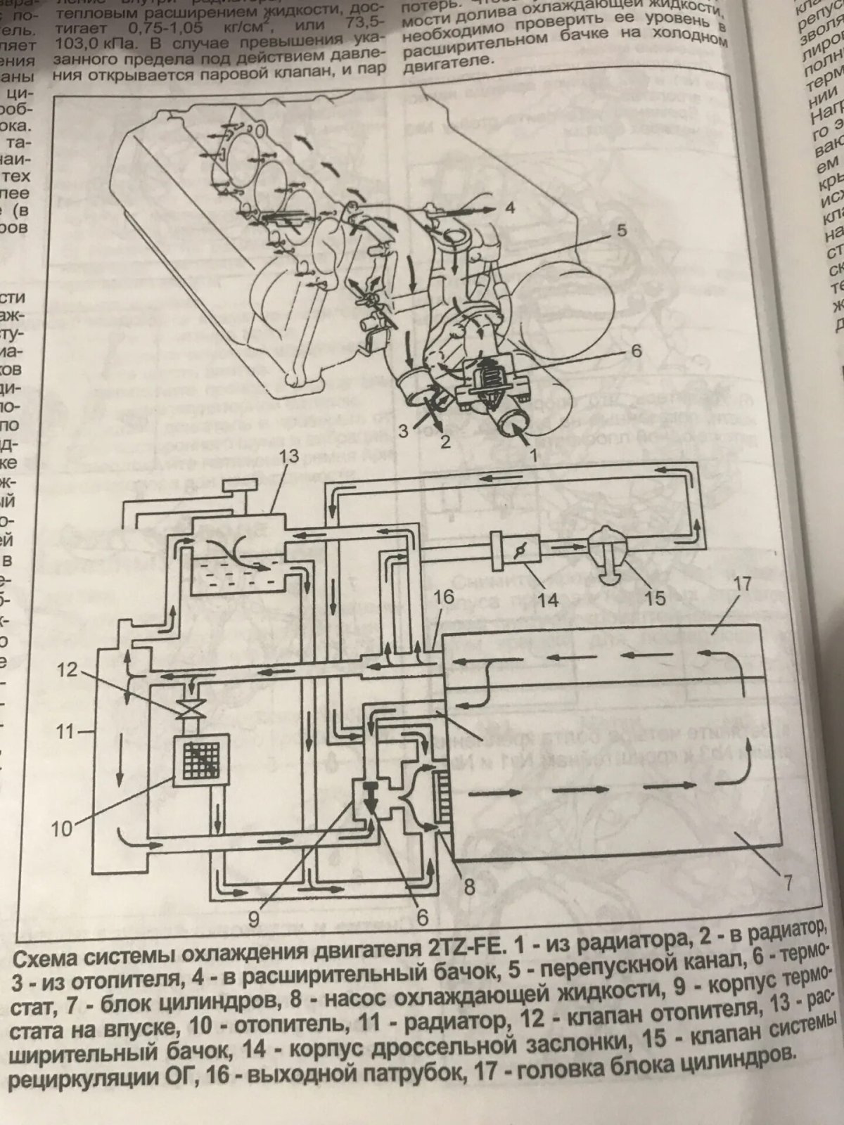 Система охлаждения двигателя 3ст схема