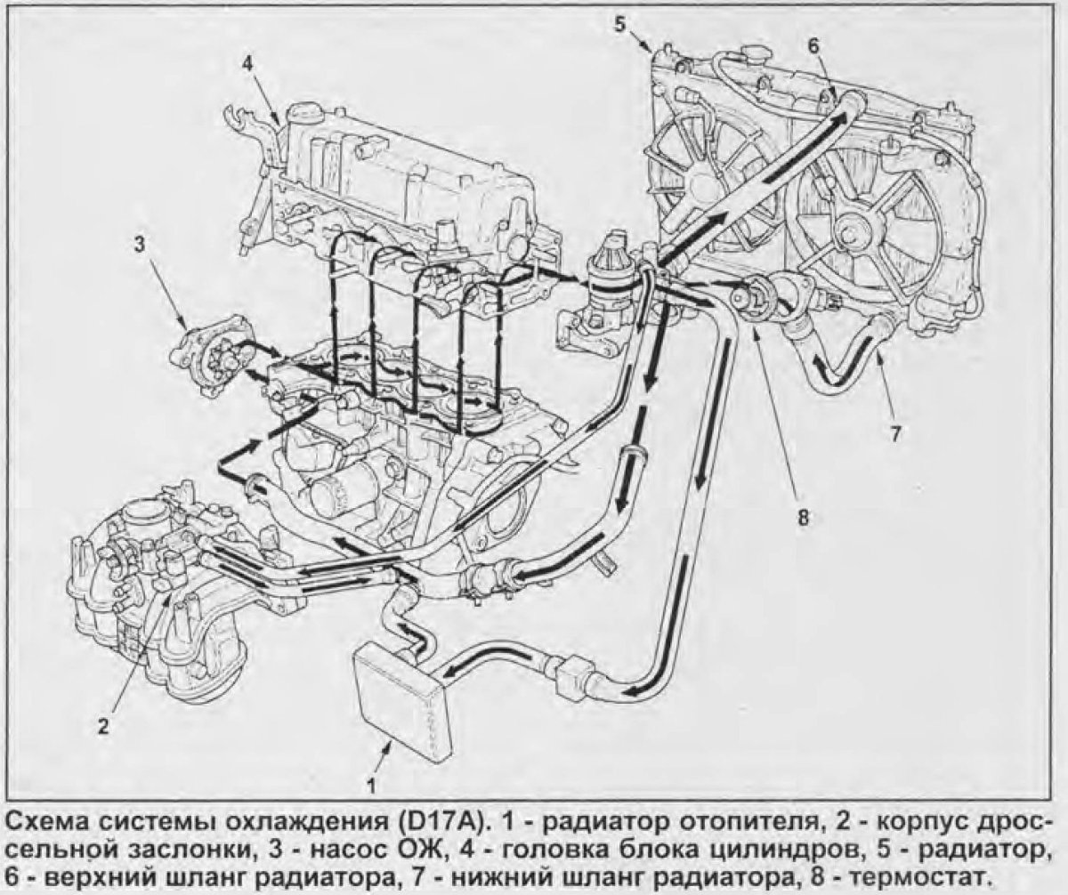Хонда СРВ 1 система охлаждения двигателя