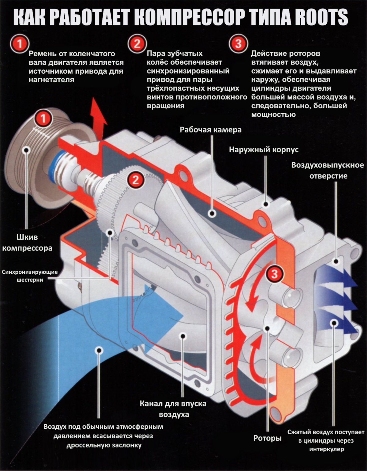 Компрессор типа Рутс