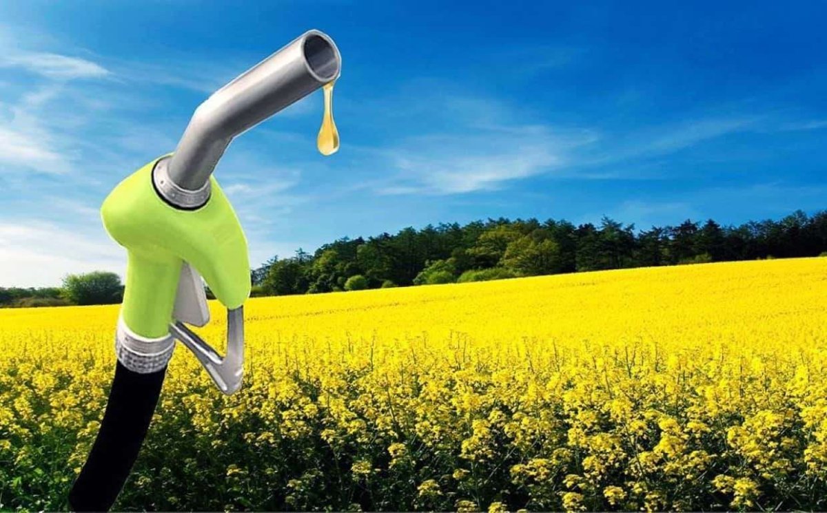 Биодизель биоэтанол