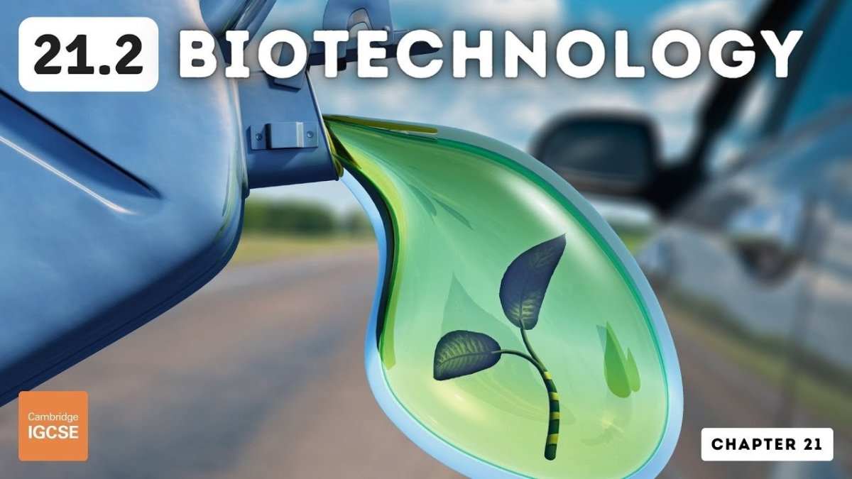 Биотопливо сатисфектори