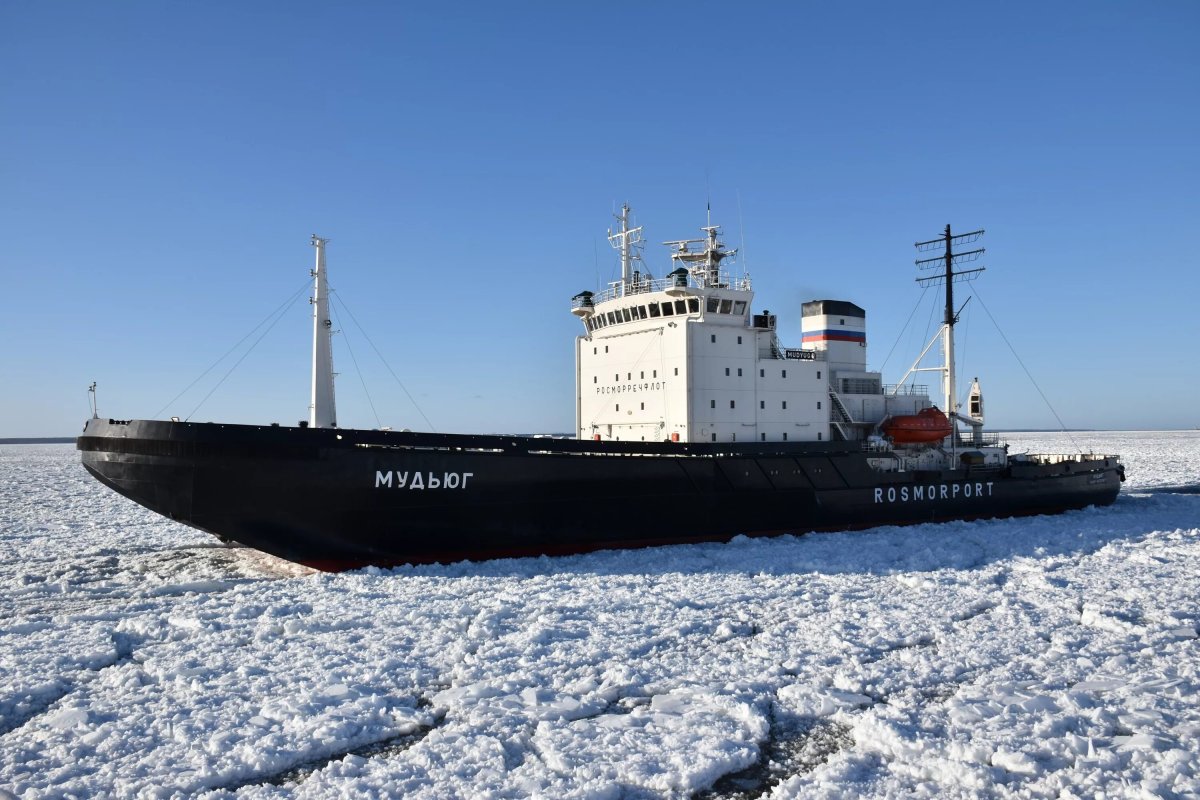 Капитан Драницын ледокол