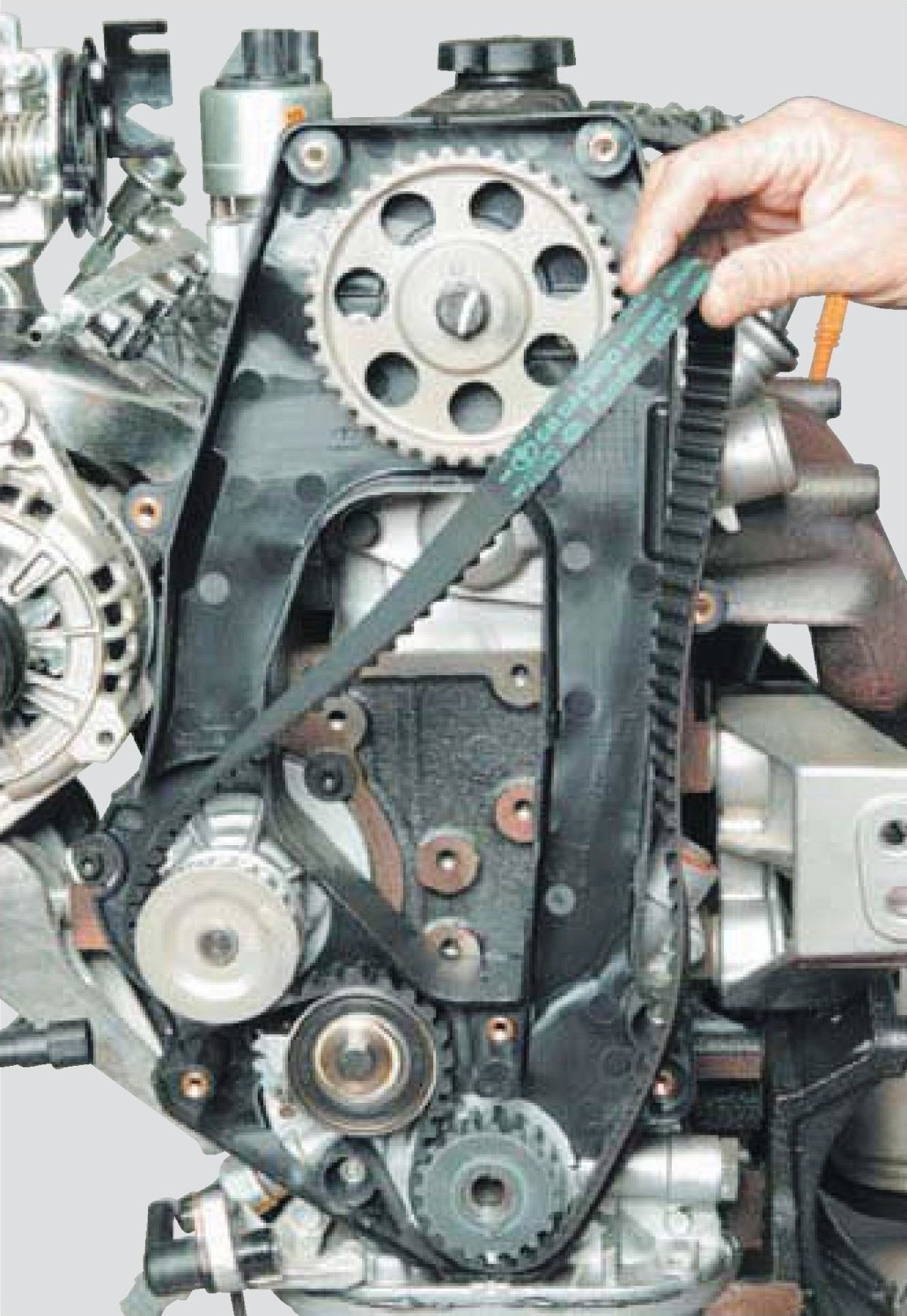 Ремень ГРМ Ланос 1.5