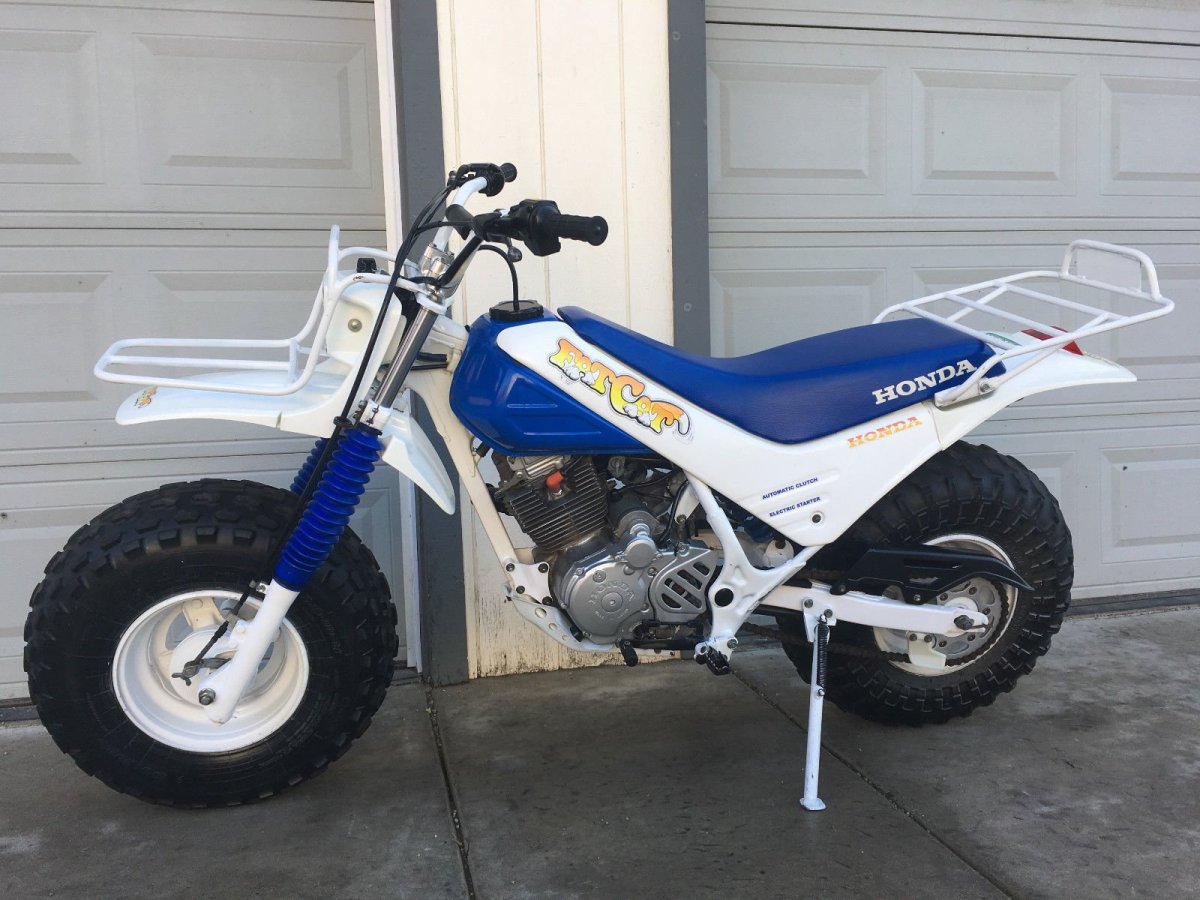 Honda fat Cat tr200cc ...