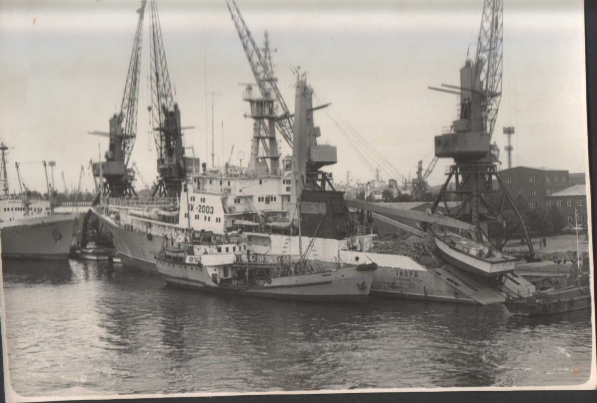 Тунцелов судно