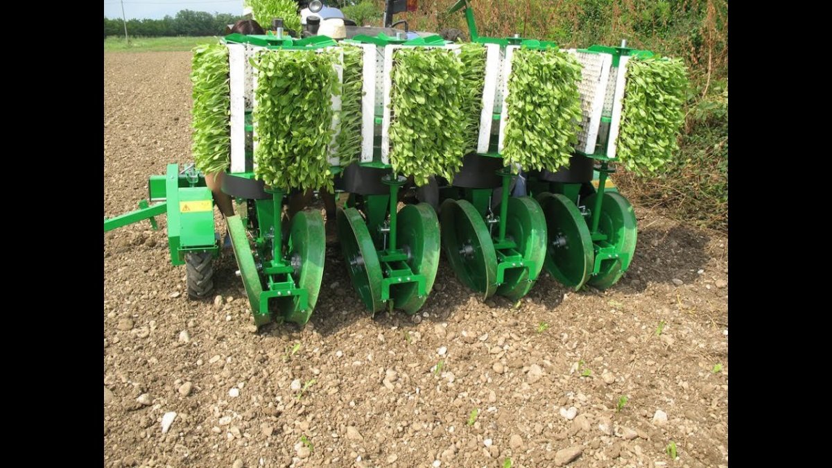 Рассадопосадочная машина СКН 1