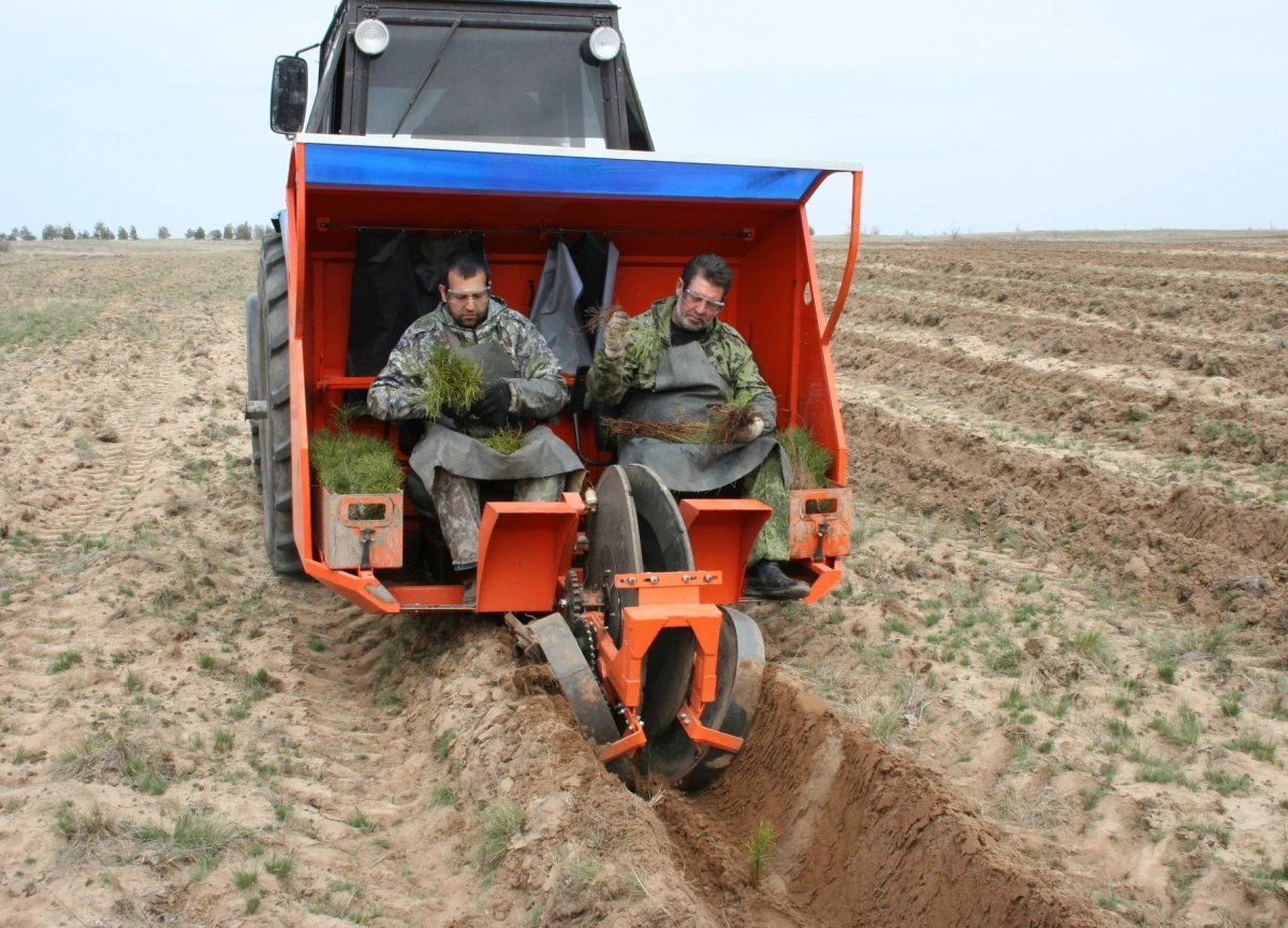 МЛУ-1 Лесопосадочная машина