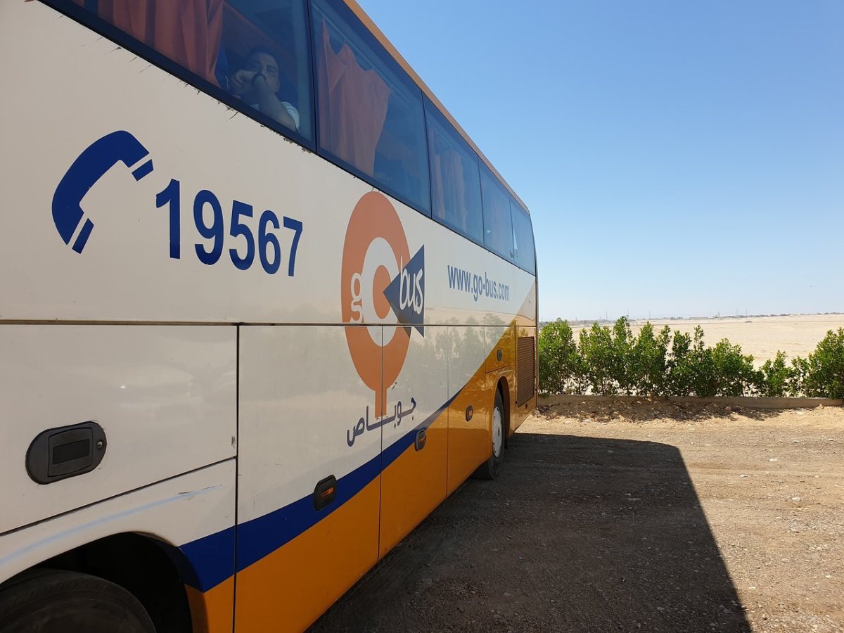 Автобус Хургада Каир go Bus