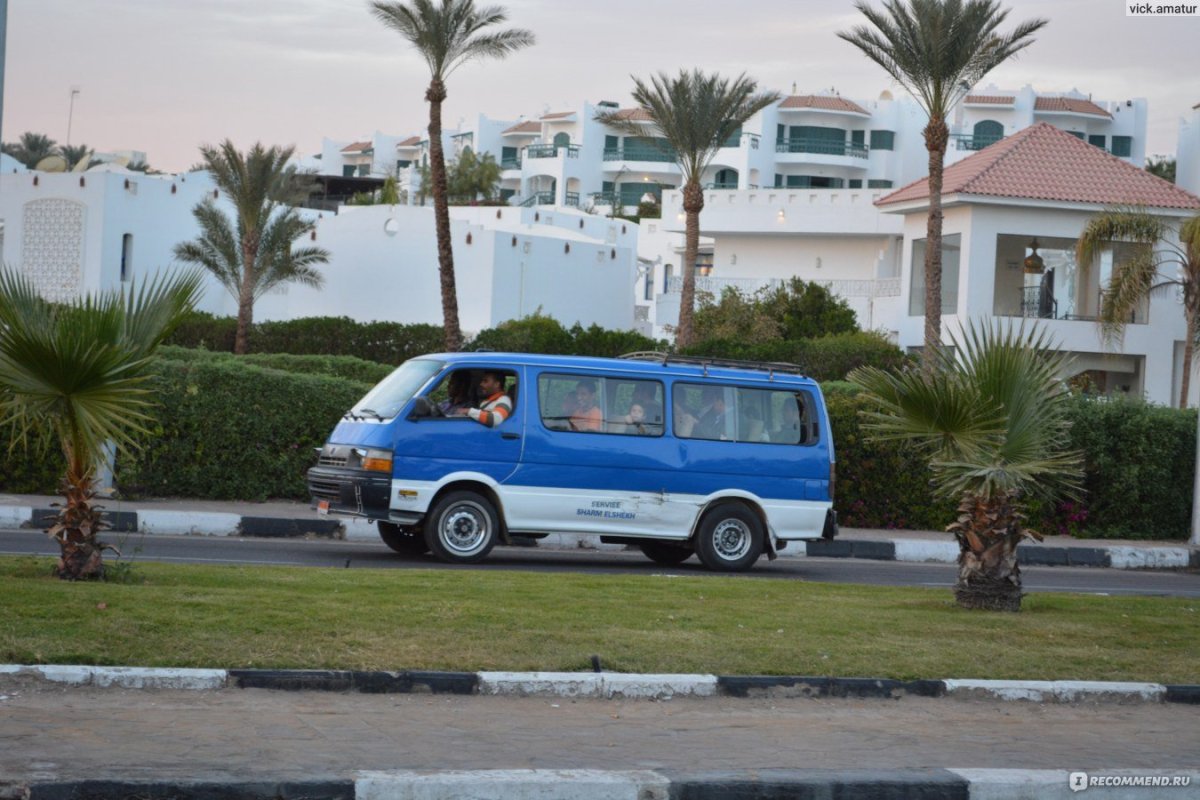 Автобусы Шарм Эль Шейх