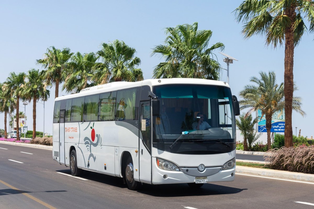 Современные автобусы