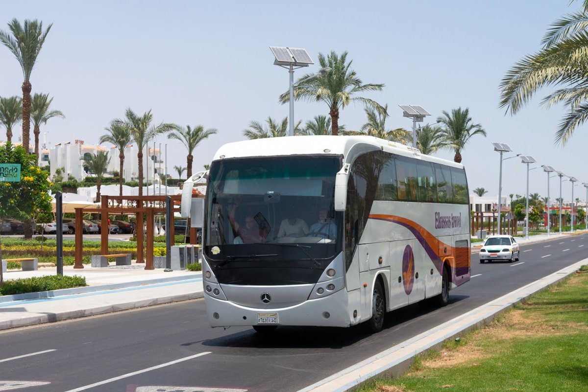 Автобусы России