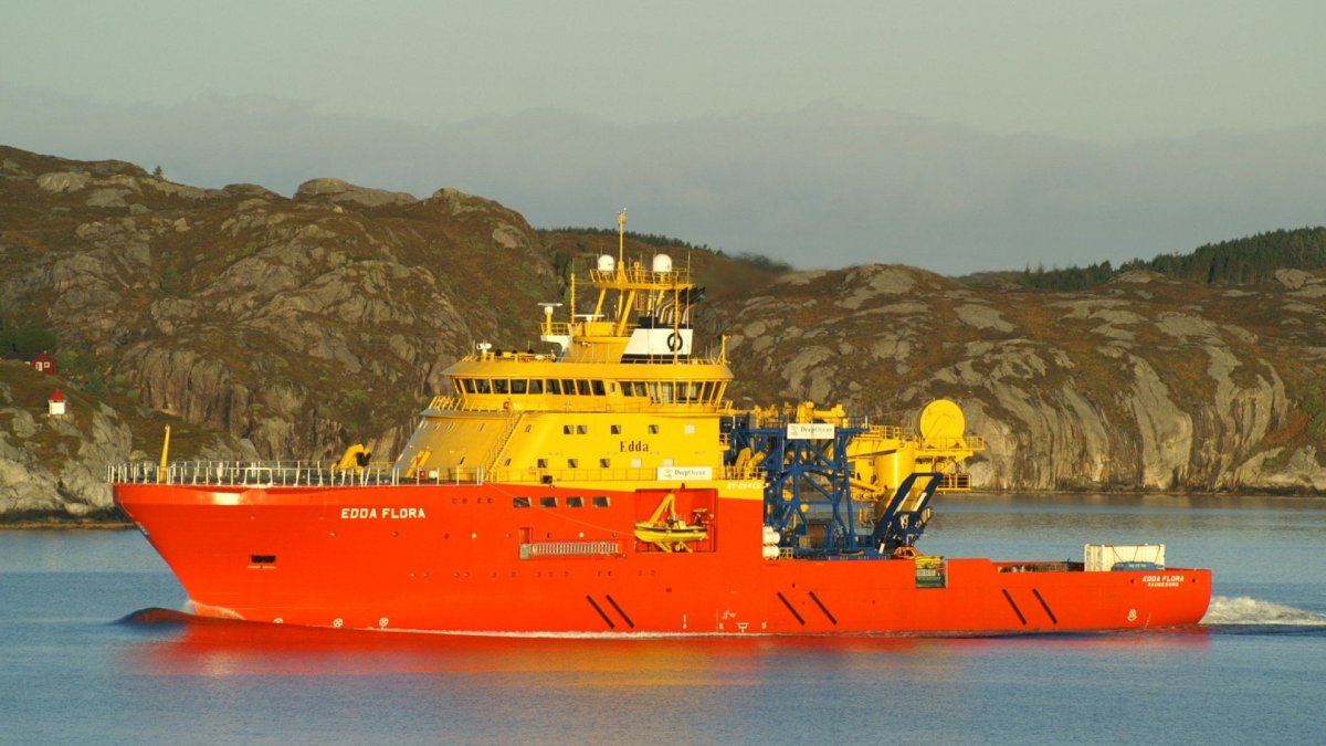 Флора на судне