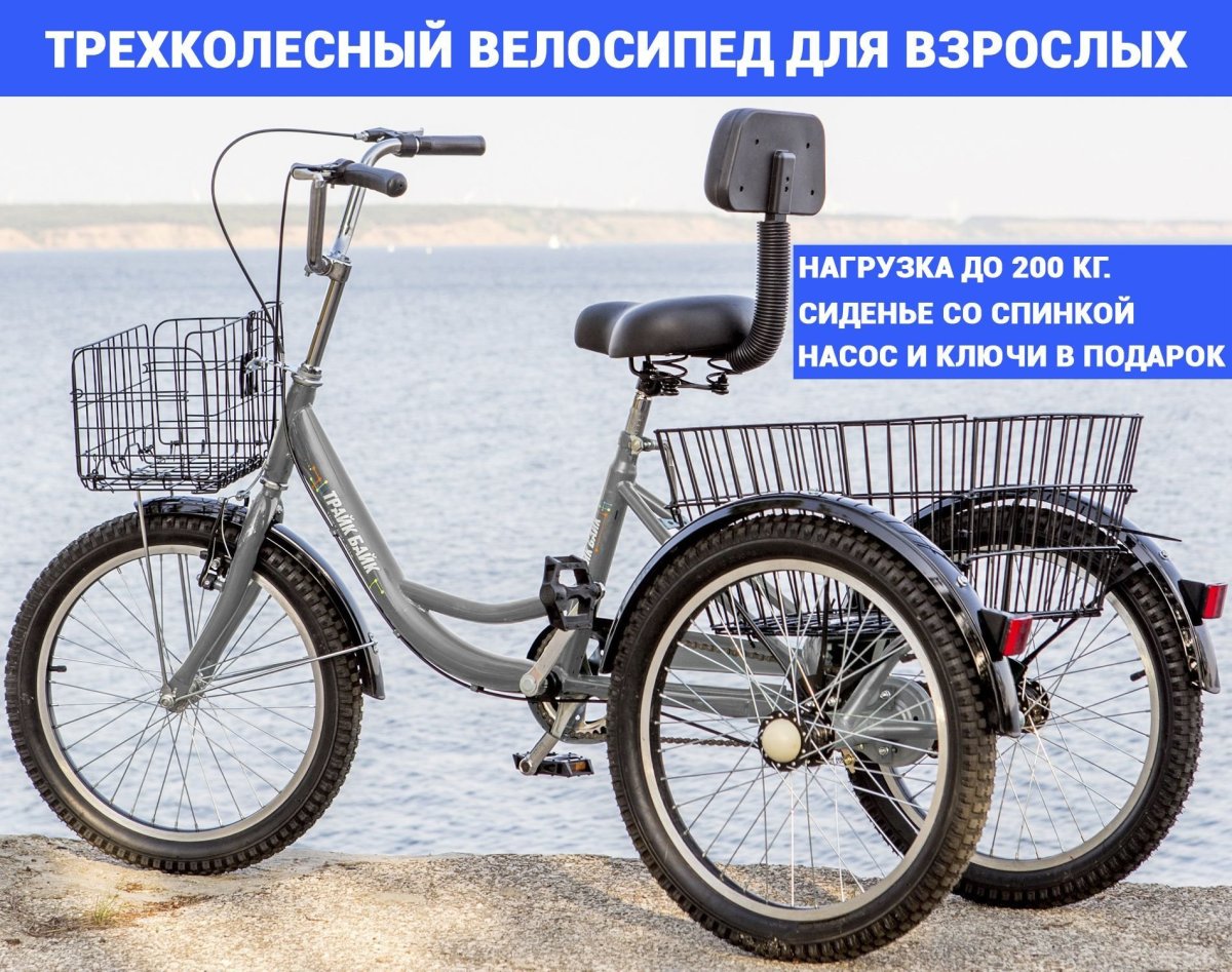 Электровелосипед трёхколёсный HORZA stels