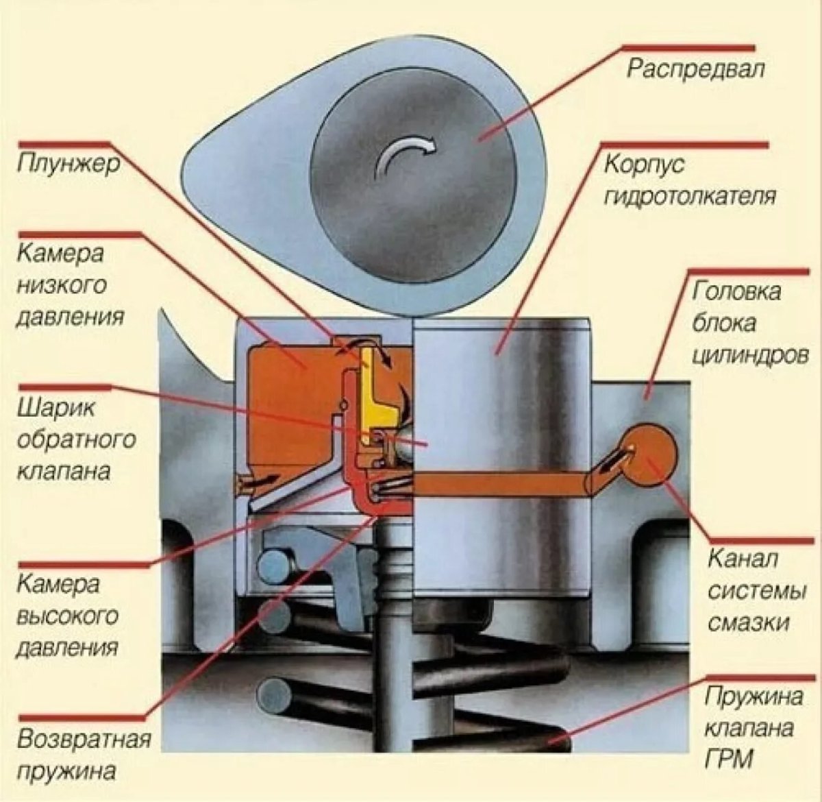 Назначение и устройство гидрокомпенсатора теплового зазора