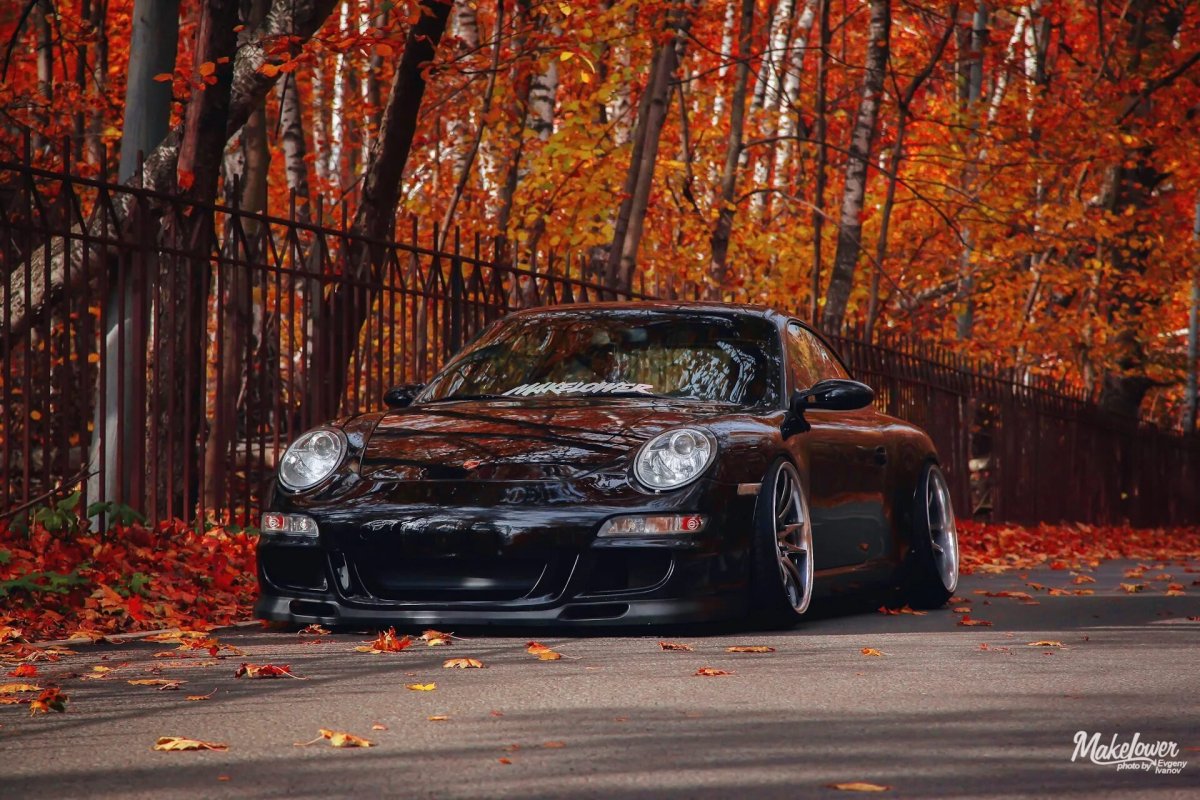 Порше 911 в лесу