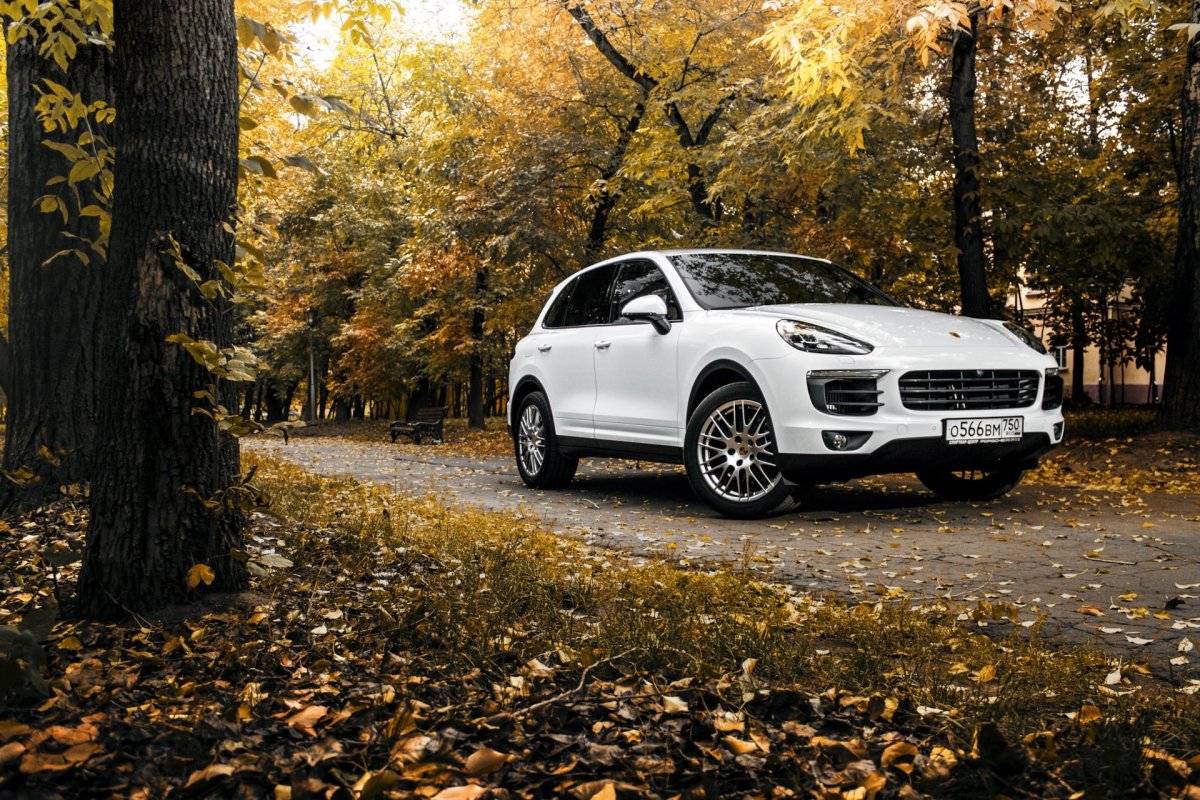 Порше Кайен на природе