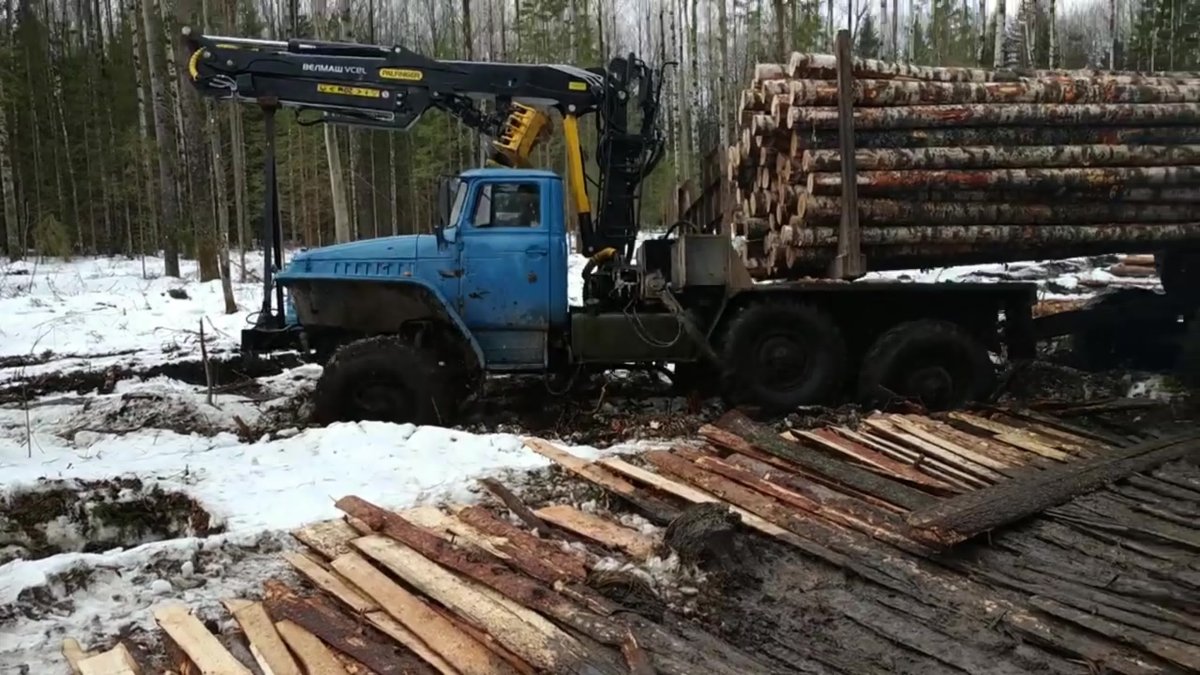 Форвардер КАМАЗ-1011