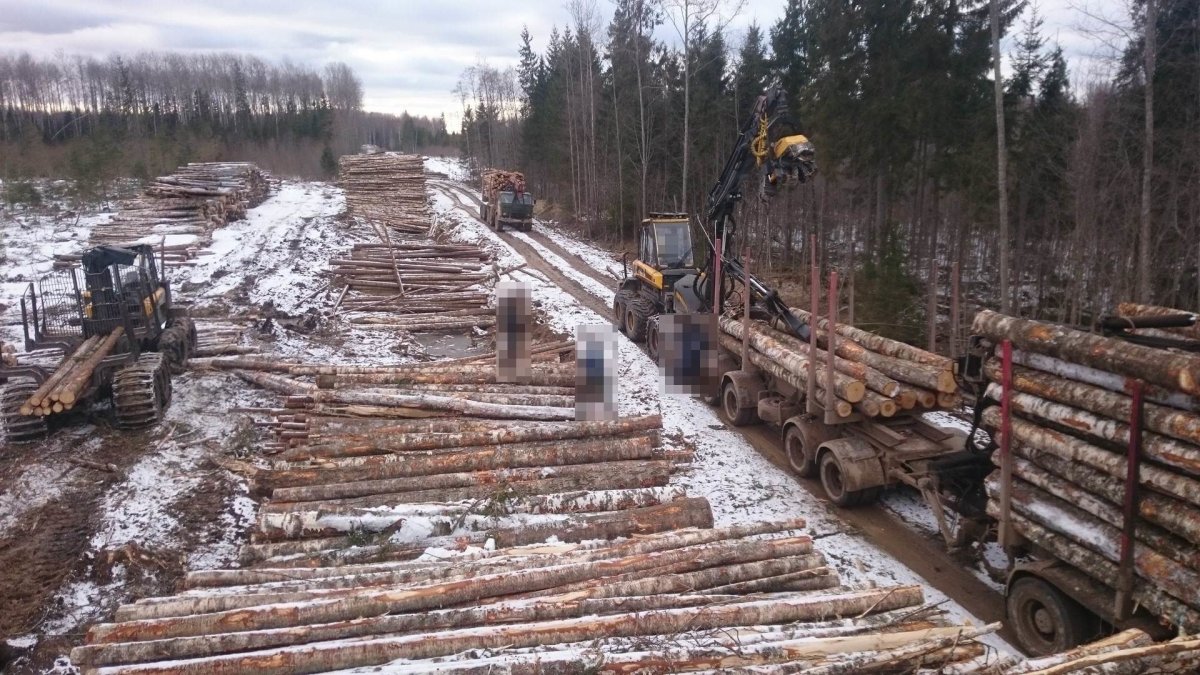 Верхотурье Лесозавод