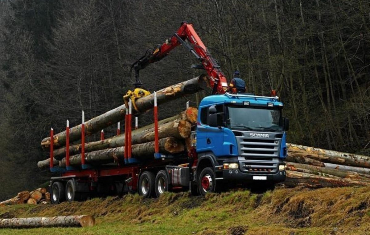 Скания 140 лесовоз