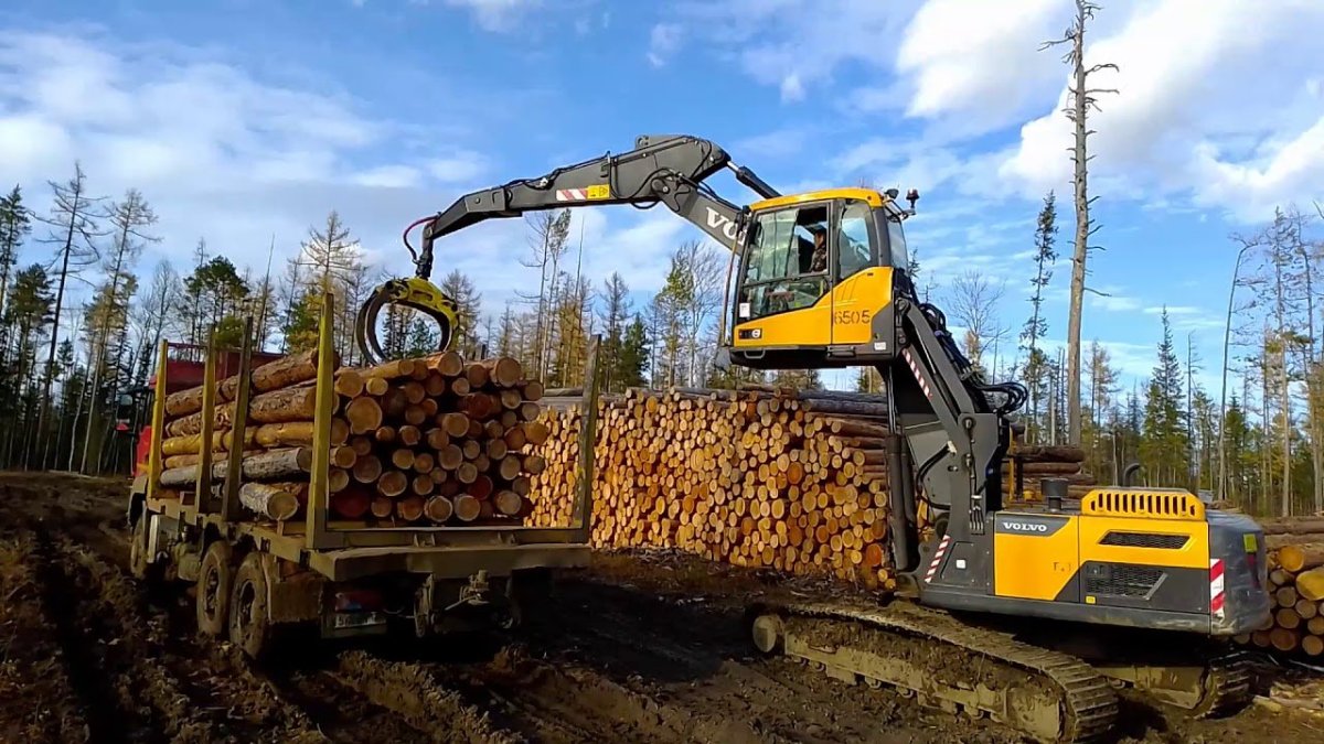 Вольво перегружатель леса