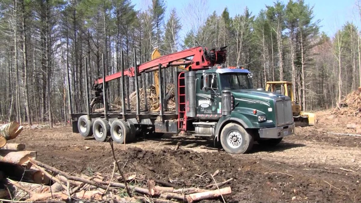 КАМАЗ 6423 лесовоз