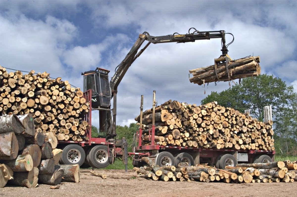 ЗИЛ 131 груженый дровами