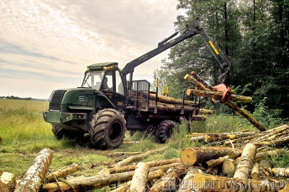 Форвардер Амкодор