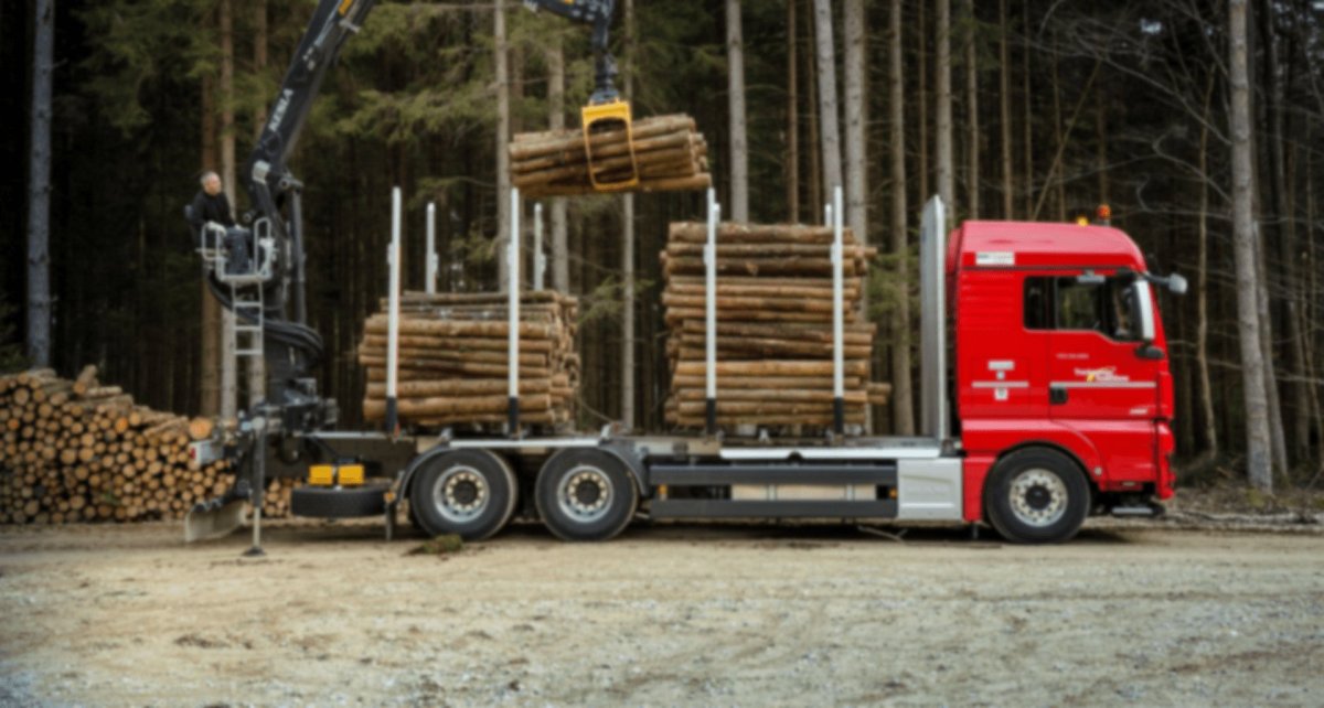 Ман ТГХ лесовоз