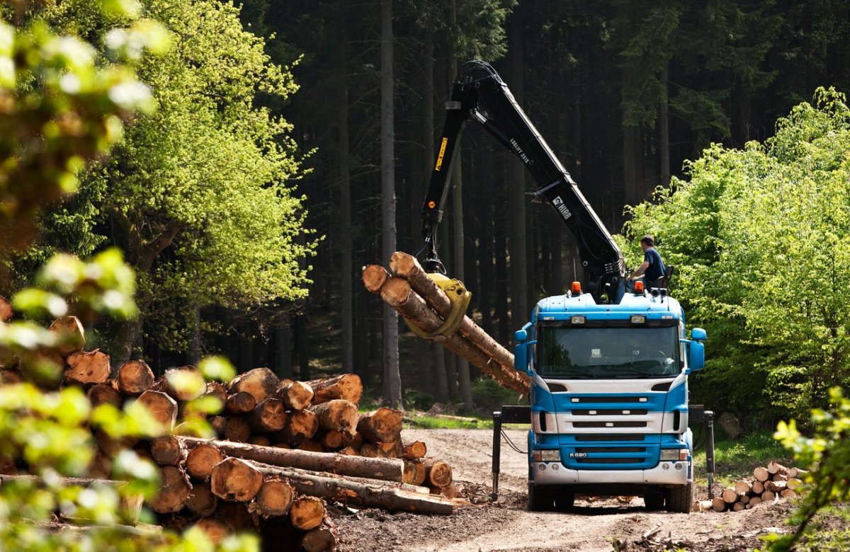 Перевозка древесины