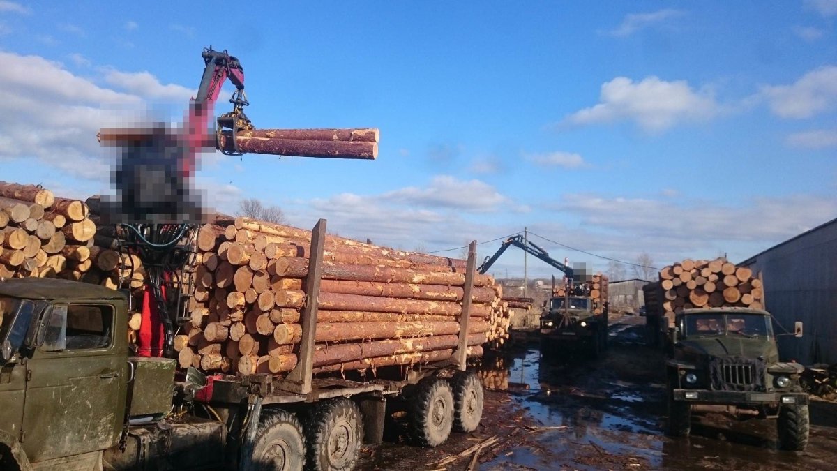 КАМАЗ 43118 лесовоз