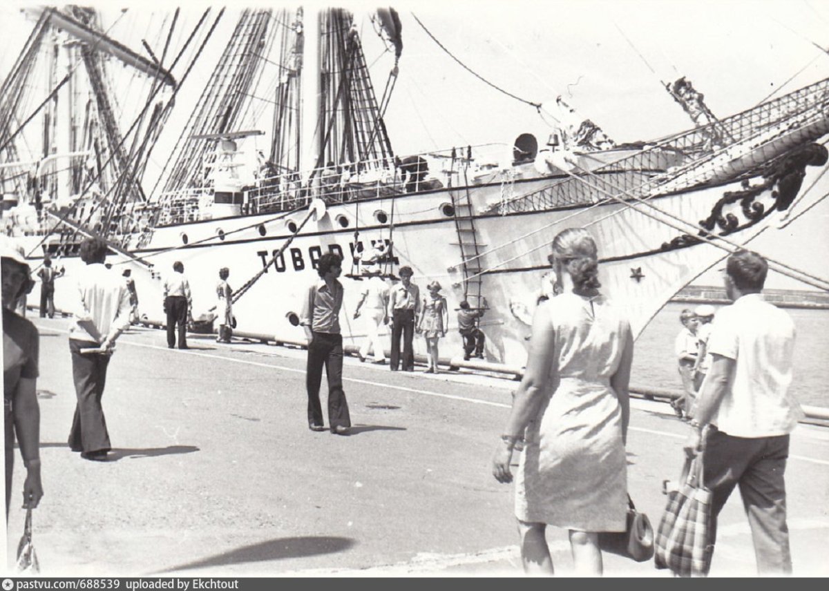 Парусник товарищ