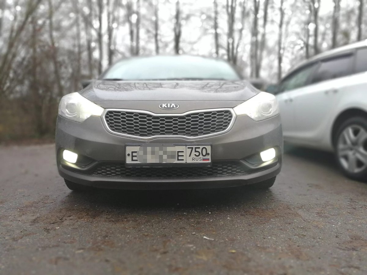 Туманки Церато 3