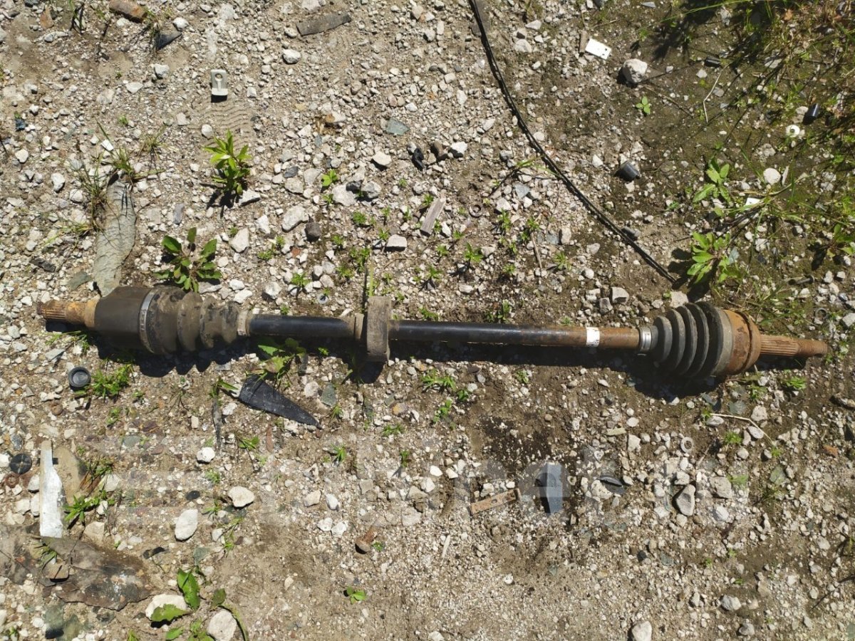 Полуось Нексия перед