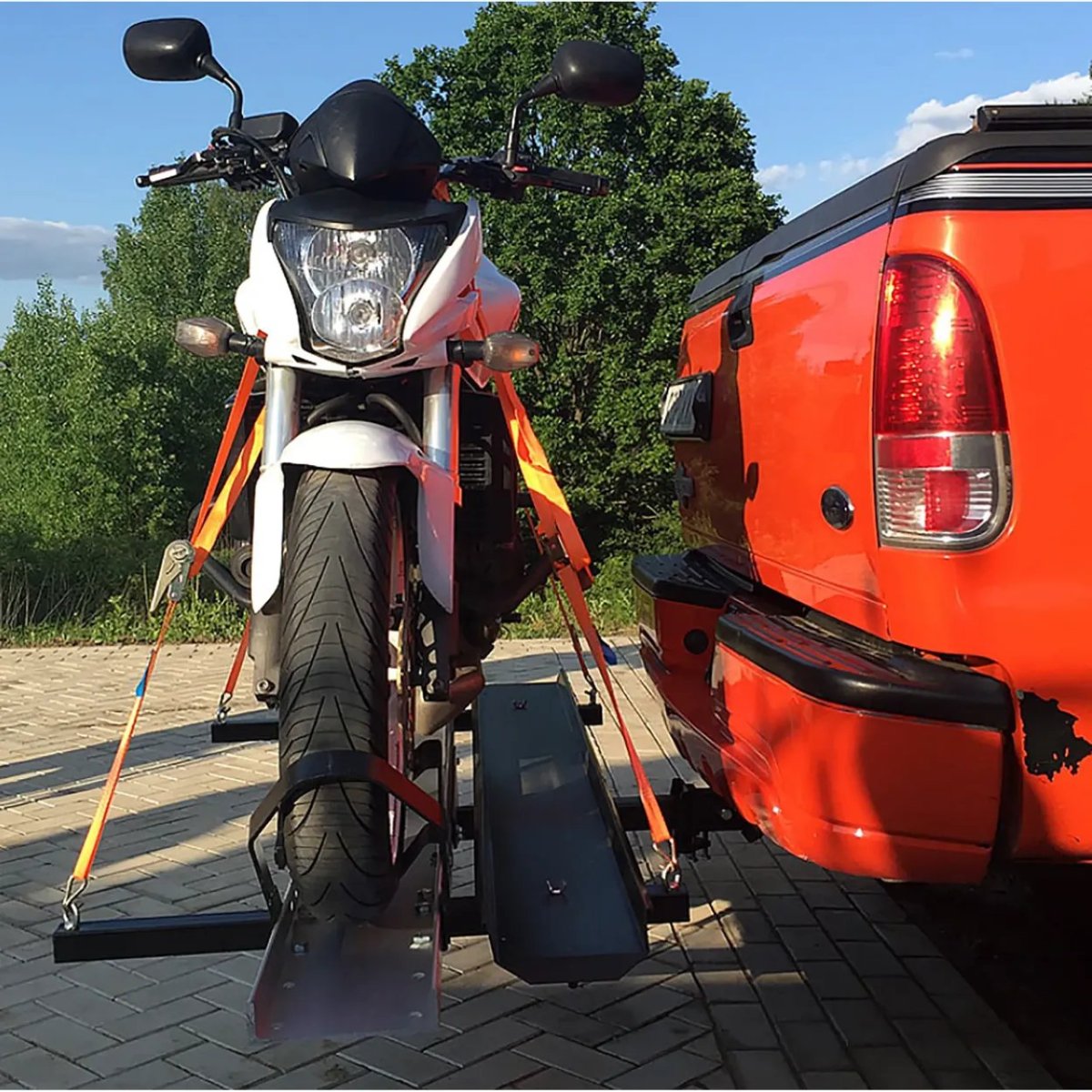 Мотохвост Сорокин