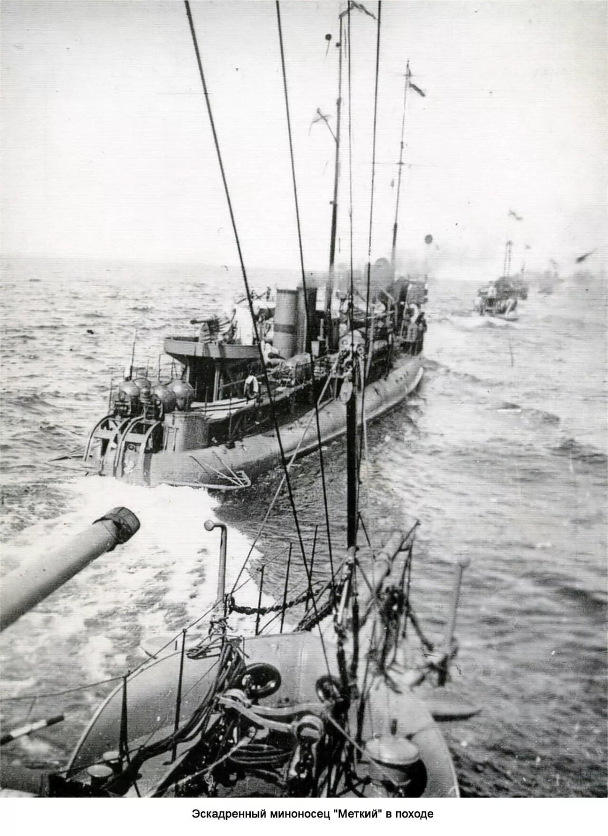 Миноносцы типа «форель»