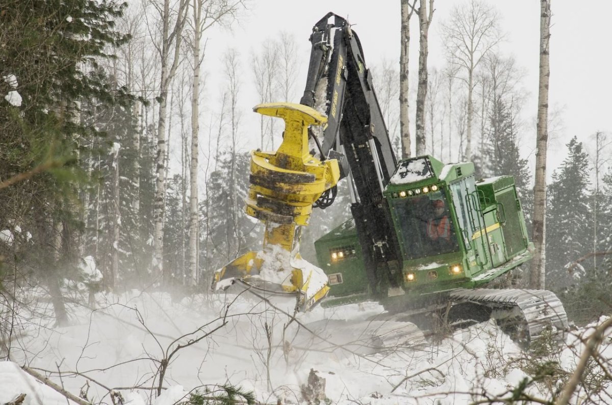 Валочно-пакетирующая машина дятел- 1