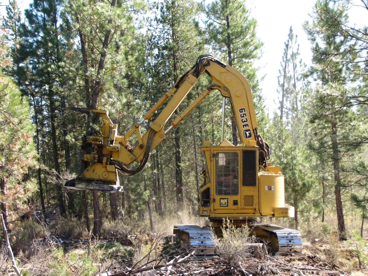 Пакетирующая валочная машина
