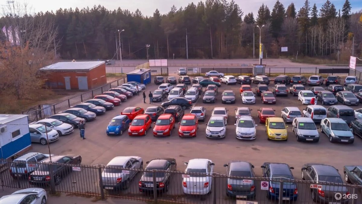 Выборгское шоссе 200 штрафстоянка