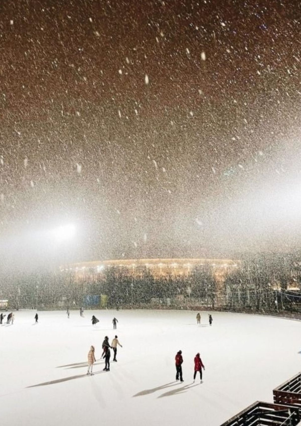 Каток Южный полюс в Лужниках