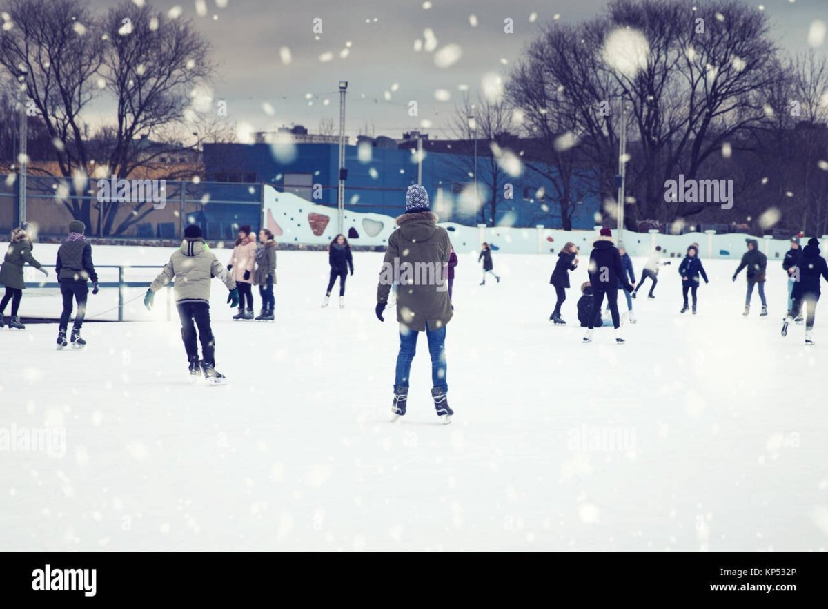 Каток в лесу фотосток