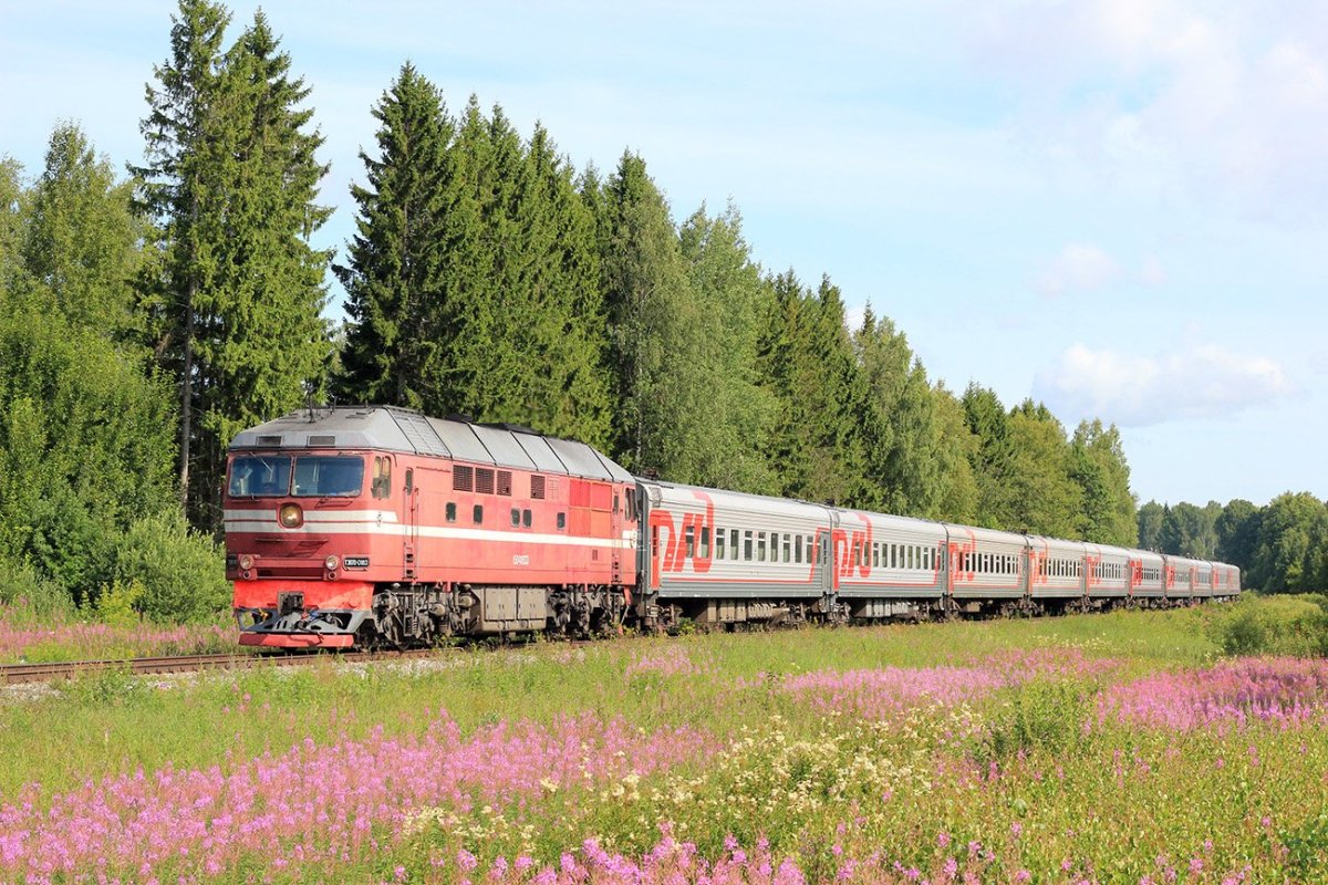 Смоленск Санкт-Петербург