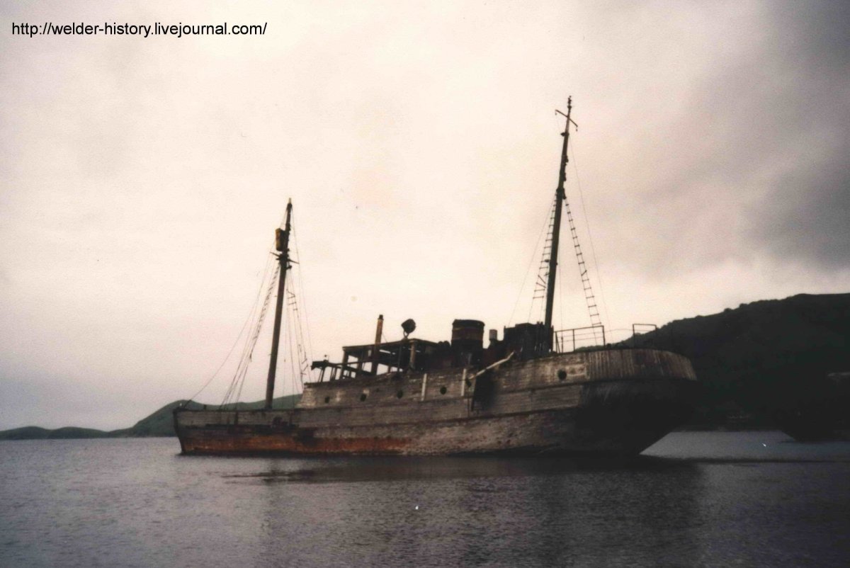 Бухта Витязь Китобой