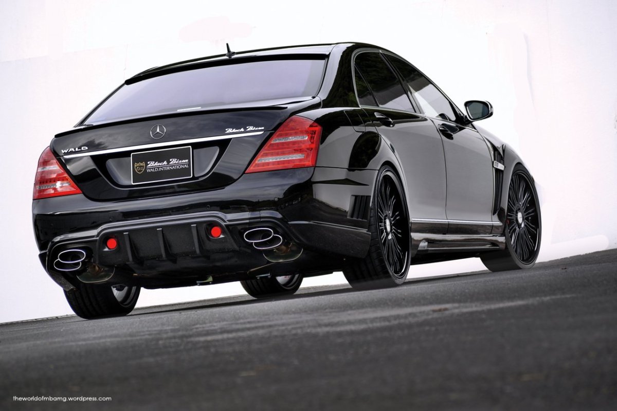 Mercedes Benz w221 Black Bison