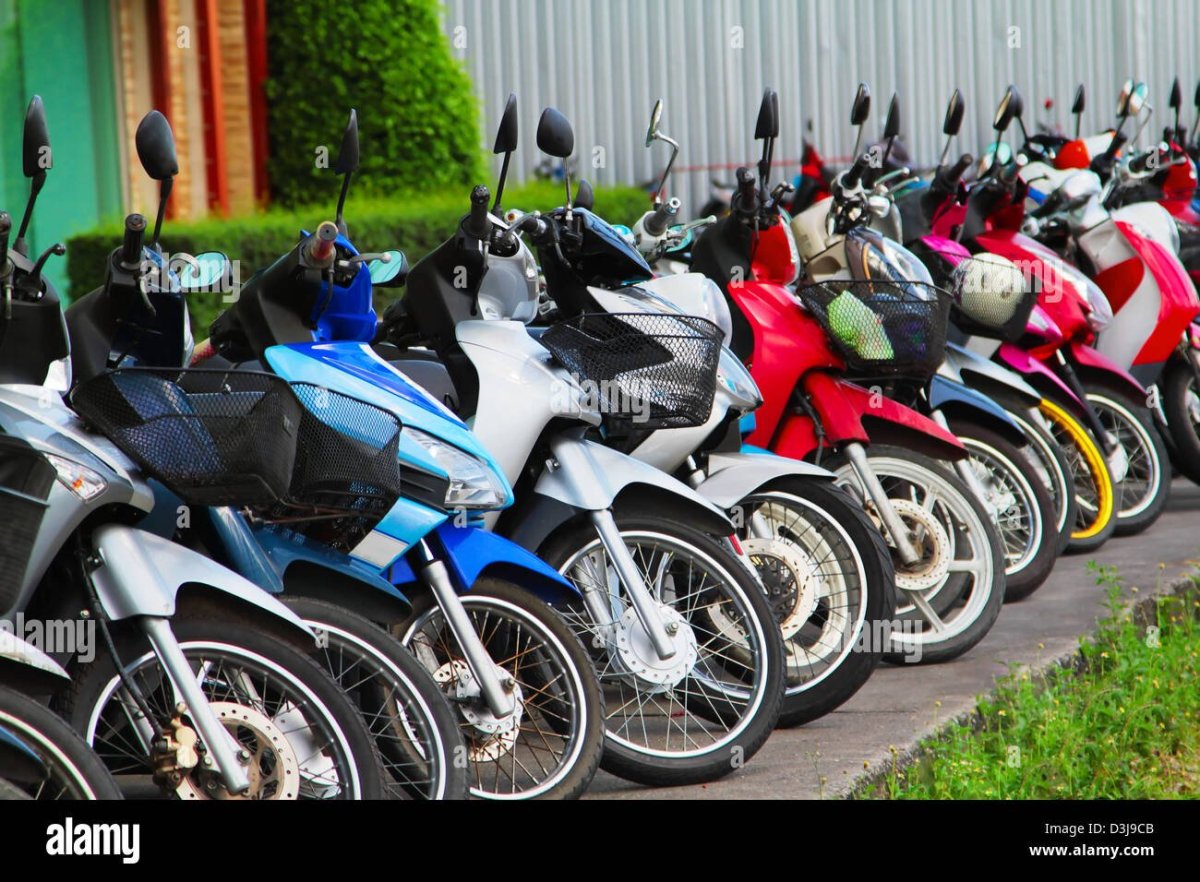 Куча на мопеде