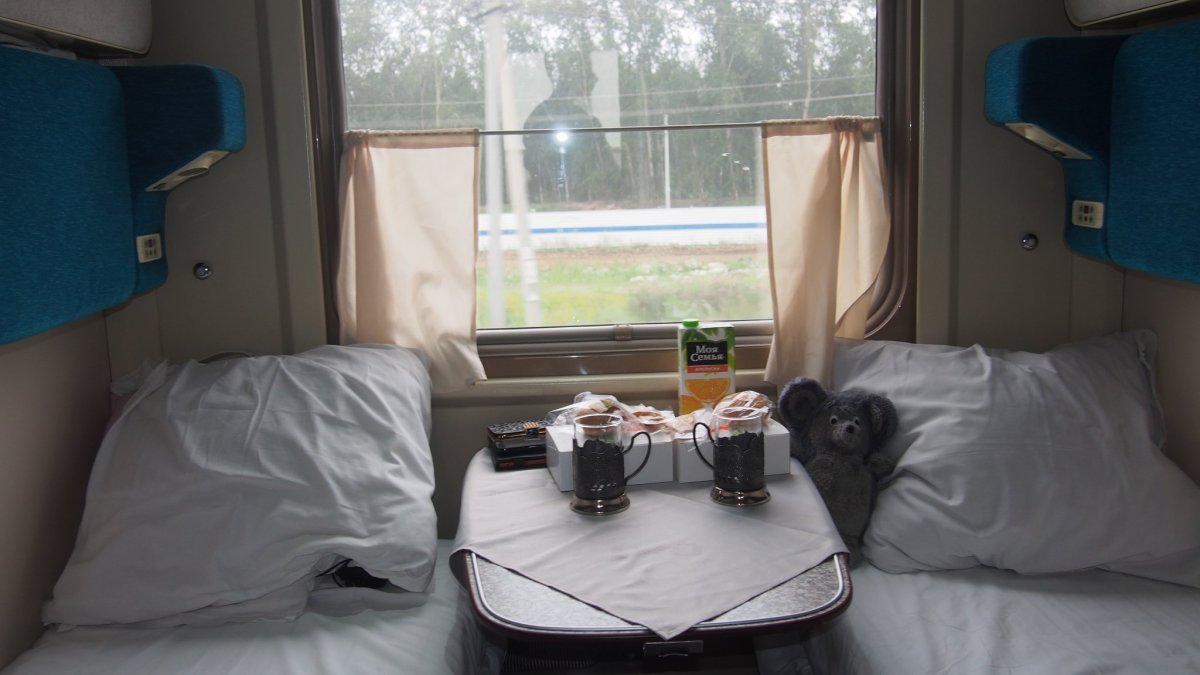 Плацкартный вагон поезда янтарь