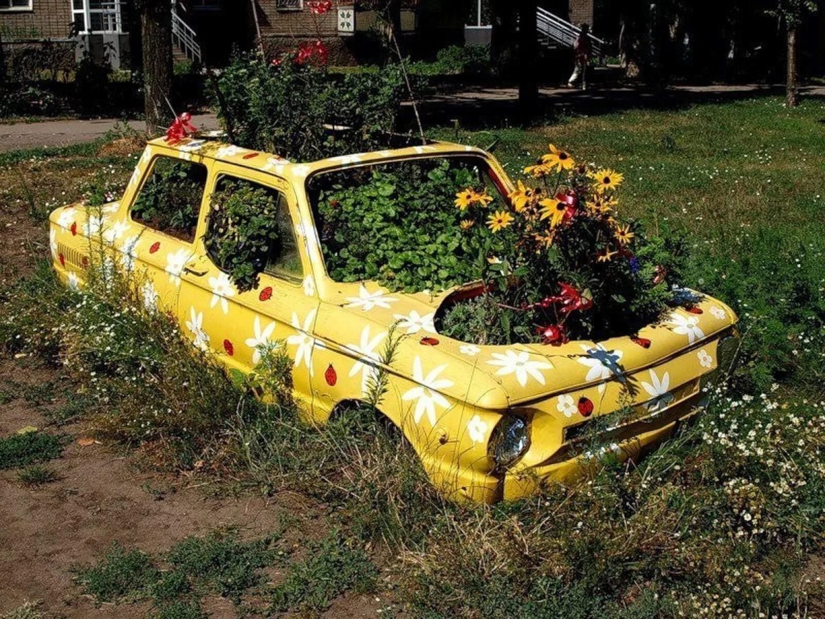 Горбатый Запорожец клумба